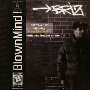 Briz  - Blown Mind / Doin' It download free