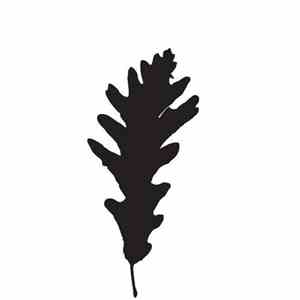 Dimi Angélis & Jeroen Search - Rhetorica EP download free