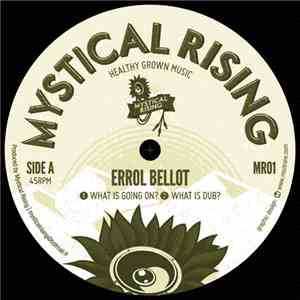 Errol Bellot, Prince Terralox - What Is Going On / Terror download free