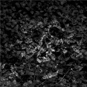 Fun Guys From Yuggoth - No More Secrets download free