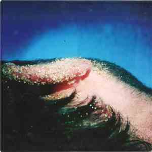 graingerboy - Shadowformerself download free