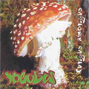 Incubus  - Fungus Amongus download free