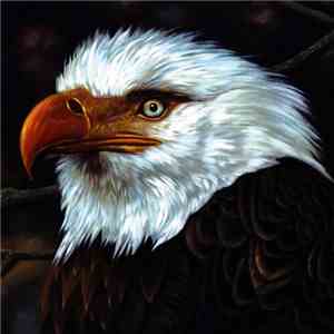 Mogwai - The Hawk Is Howling download free