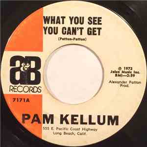 Pam Kellum - What You See You Can't Get / (It's Gonna Be A) Long Hot Summer download free