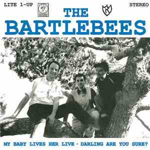The Bartlebees - Rebuilding Amerika On 45 download free