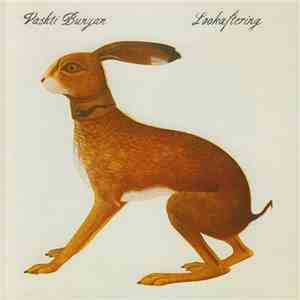 Vashti Bunyan - Lookaftering download free