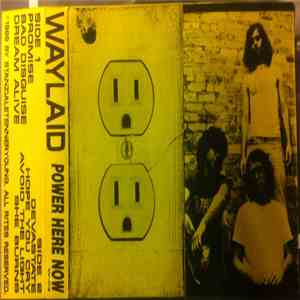 Waylaid  - Power Here Now download free
